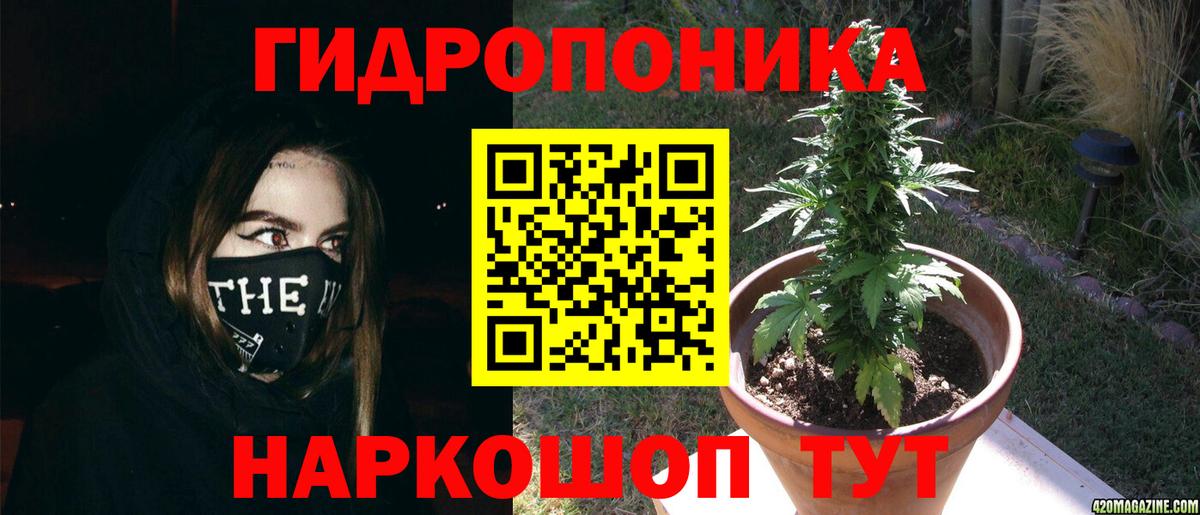 Бошки марихуана THC 21% Шадринск